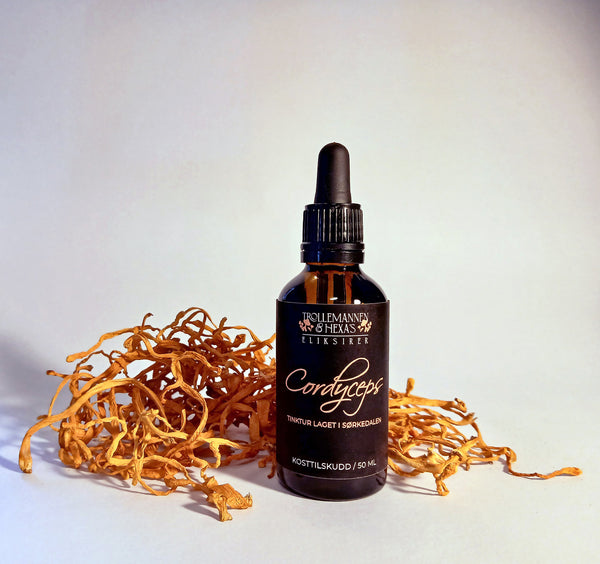 Cordyceps - støtte til energi og utholdenhet 50 ml