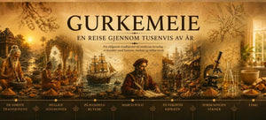 Gurkemeie – en reise gjennom tusenvis av år