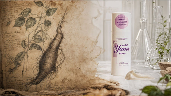 Wild Yams krem med niacinamid – botanisk illustrasjon av Wild Yam-roten mot en antikk håndskrevet bakgrunn, omgitt av glassutstyr og friske urter