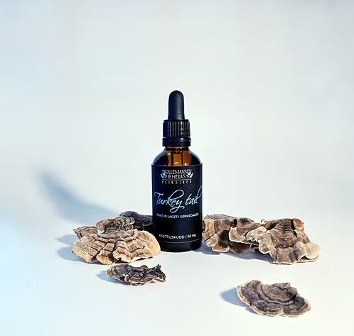 Turkey tail - støtte til mage, tarm og immunsystem 50 ml