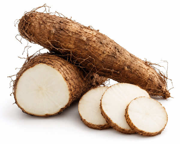 Wild Yam rot (Dioscorea villosa) – planten som brukes som ingrediens i Wild Yam-kremen fra Universal Helseprodukter
