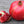Pomegranate Seed Oil, 50 ml